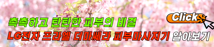 피부개선을 위한 LG전자 프라엘 더마쎄라 피부마사지기 후기 및 최저가 링크 알아보기