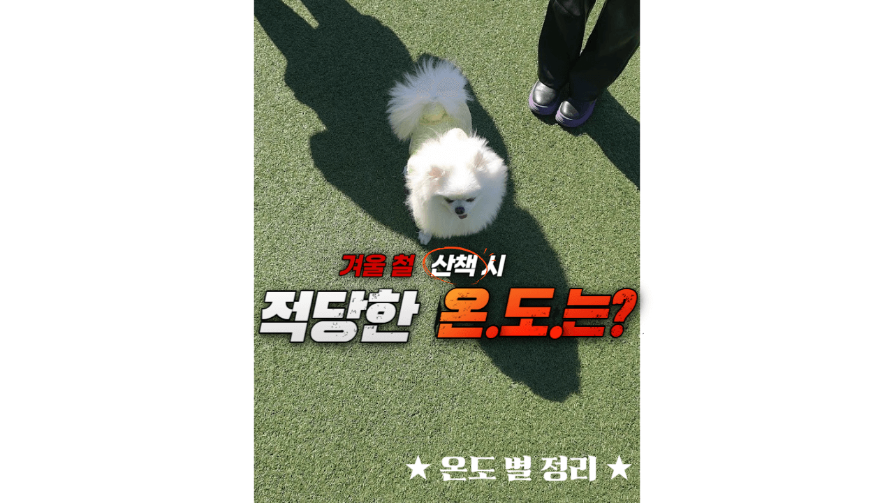 날씨도 추운데 산책 괜찮을까? : 겨울 철 걸리기 쉬운 질병과 산책 온도 정리 2 ywAAAAAAQABAAACAUwAOw==
