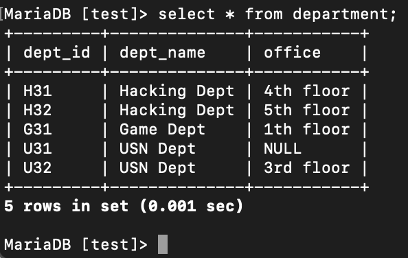 SQL의 구성: DML 레코드 삽입(INSERT)