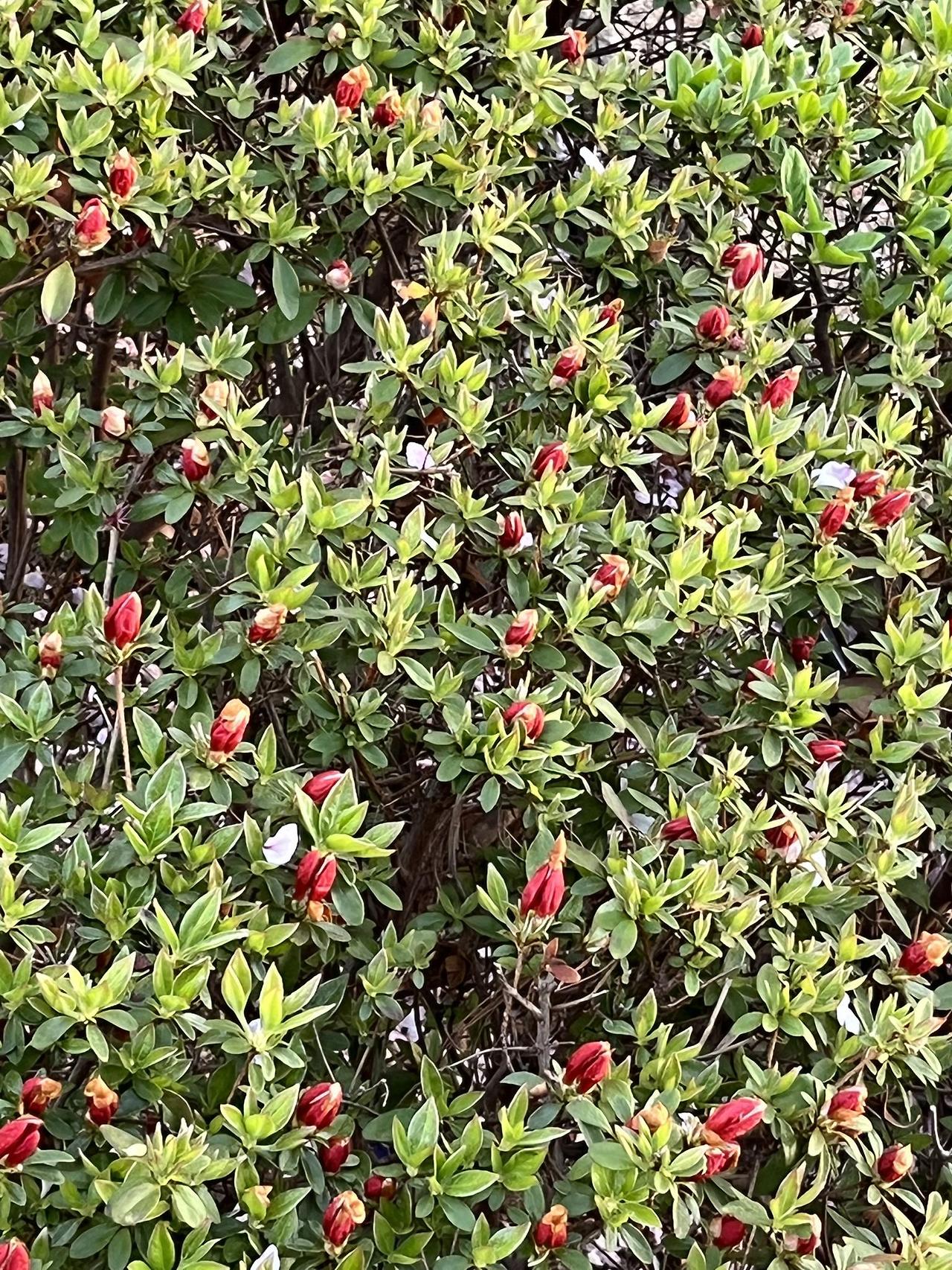 ?scode=mtistory2&fname=https%3A%2F%2Fblo