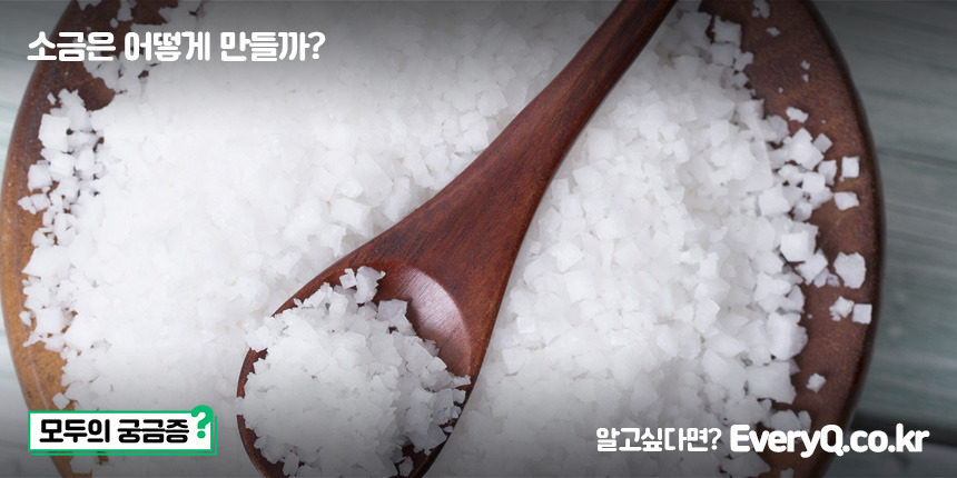 소금은 어떻게 만들까? (염전 소금 만드는 과정, 천일염, 암염, 정제염 만드는 과정)