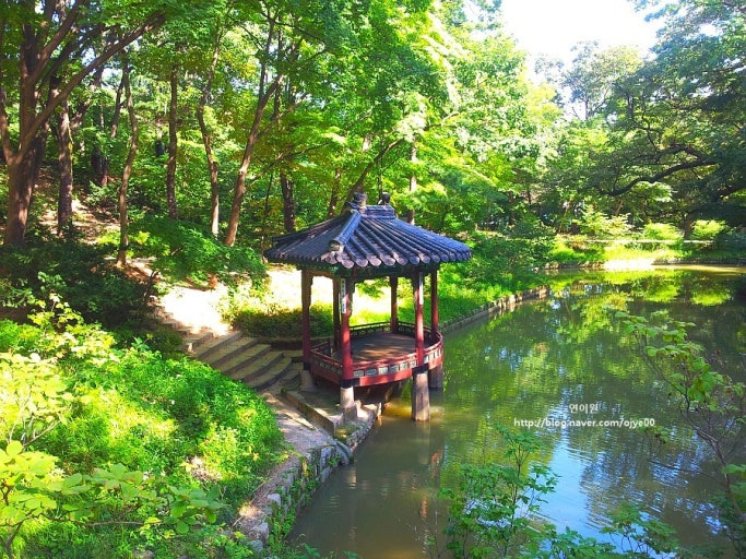 카페텅