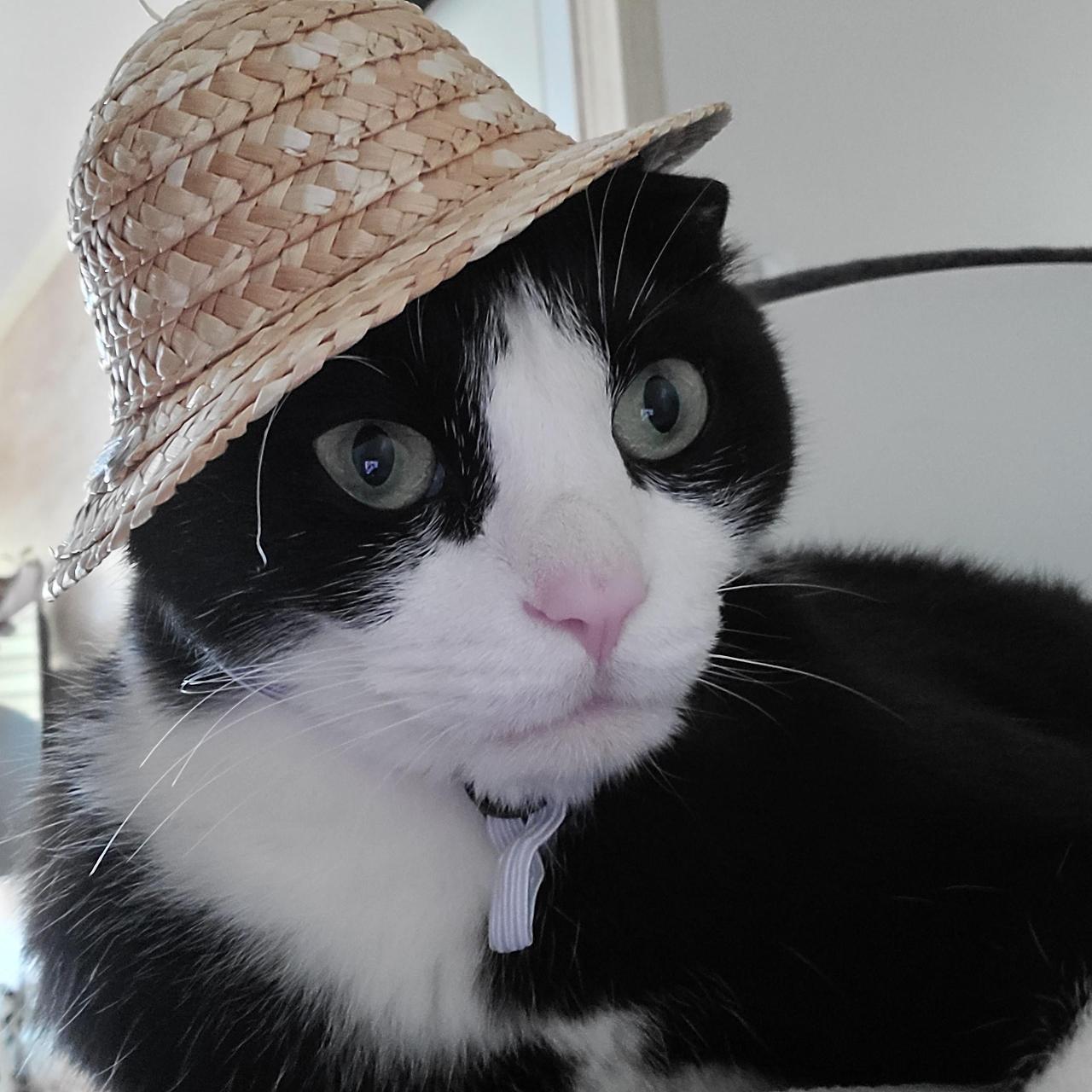 ?scode=mtistory2&fname=https%3A%2F%2Fblo