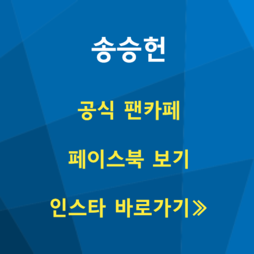 아로스 팝업