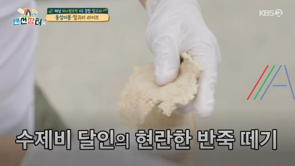 랜선장터 쌀귀리 수제비 레시피 만드는법 - 강진 쌀귀리 요리 허경환 진성 나태주 4 ywAAAAAAQABAAACAUwAOw==