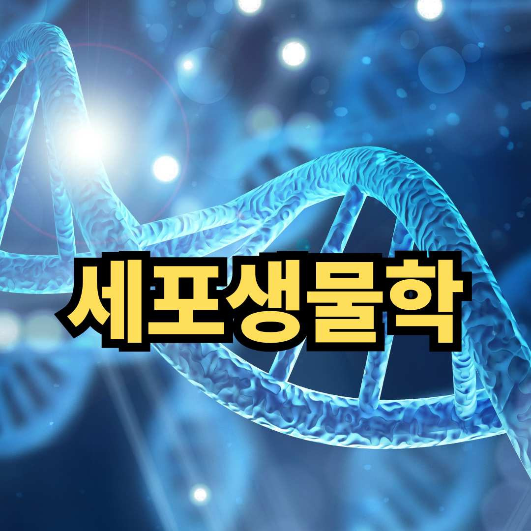 세포생물학의 핵심 개념과 응용