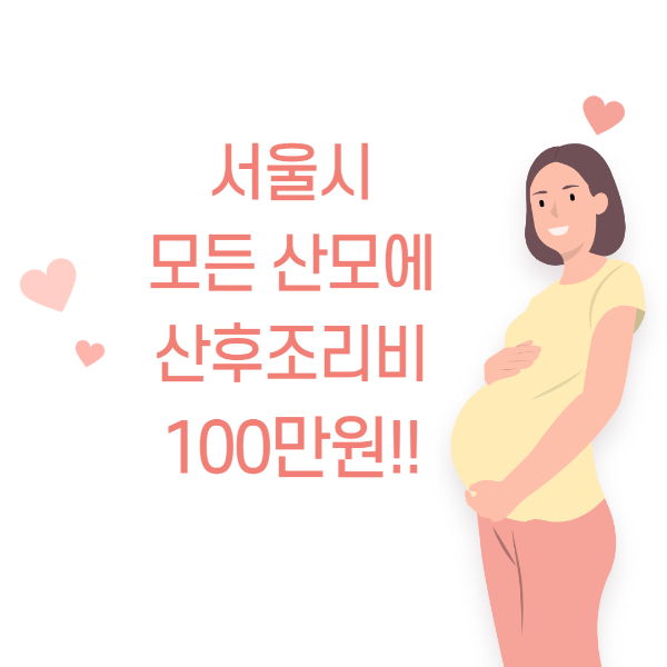 서울시 모든 산모에 산후조리비 100만원 지원 내용 알아보자. :: 생활 속 꿀팁정보♥
