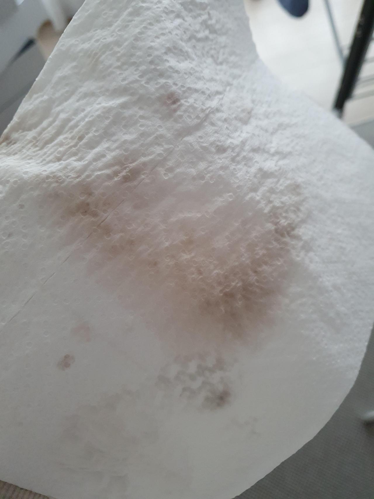 사이잘룩 러그 얼룩 오염 제거엔 푸라텍스 8 ywAAAAAAQABAAACAUwAOw==