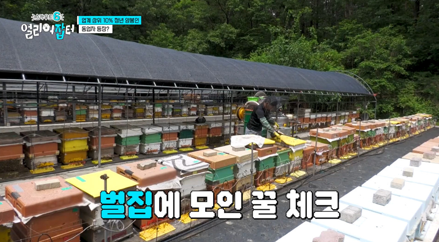 옛날이랑 다른 요즘 매출 4억 나온다는 농업.jpg | 인스티즈