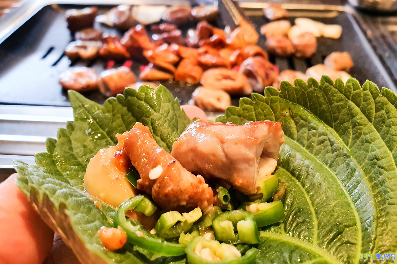 코리아배낭여행 :: 대구 곱창 맛집 안지곱창막창 안지랑곱창 골목 거리