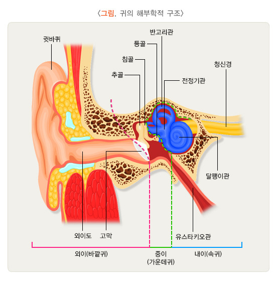 귀의 통증과 분비물