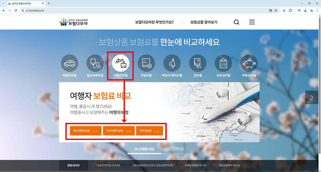 여행자 보험 가입 가이드: 제주도 국내 여행부터 해외여행까지