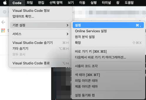 [Mac] vscode Language Support for Java(TM) by Red Hat 확장팩 에러
