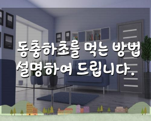 동충하초를 먹는 방법 설명하여 드립니다.