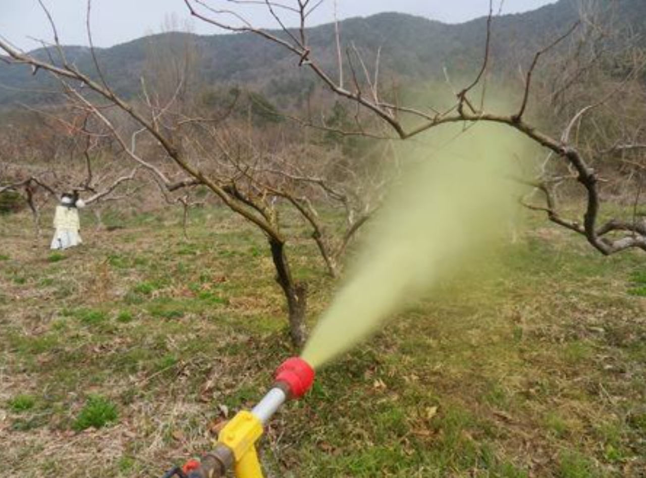 석회유황합제 살포시기 방법,석회유황합제 희석비율 효능