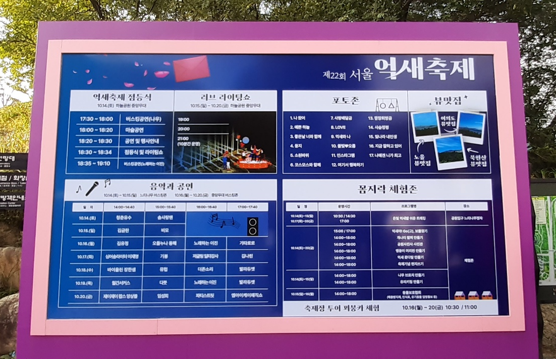 은빛 물결 장관! 제22회 상암동 서울 억새축제 추억샷! 3 ywAAAAAAQABAAACAUwAOw==