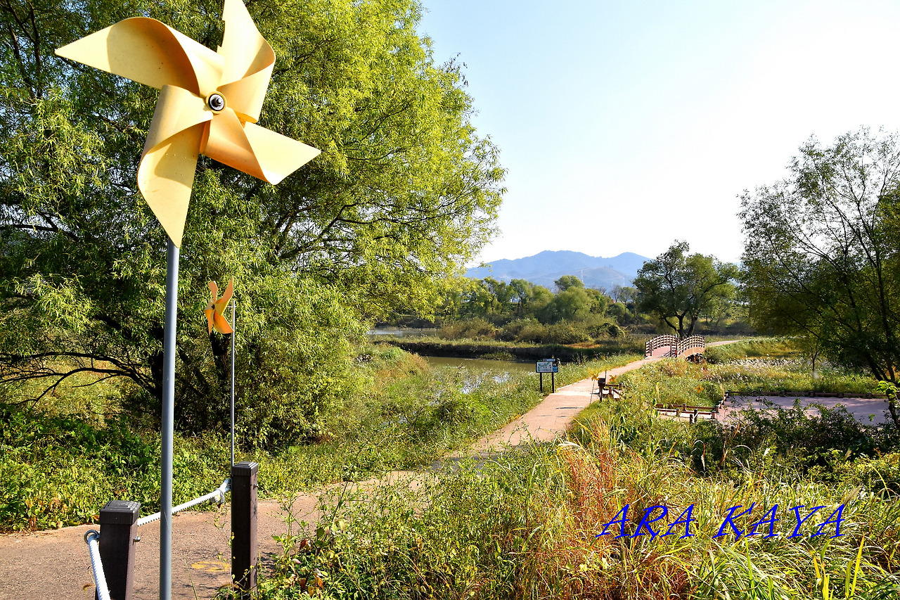 봉하마을 자전거 대여