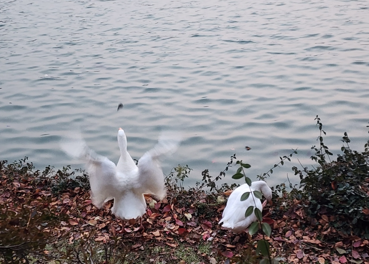 "건강과 안녕을 위한 효과적인 스트레스 관리 방법"