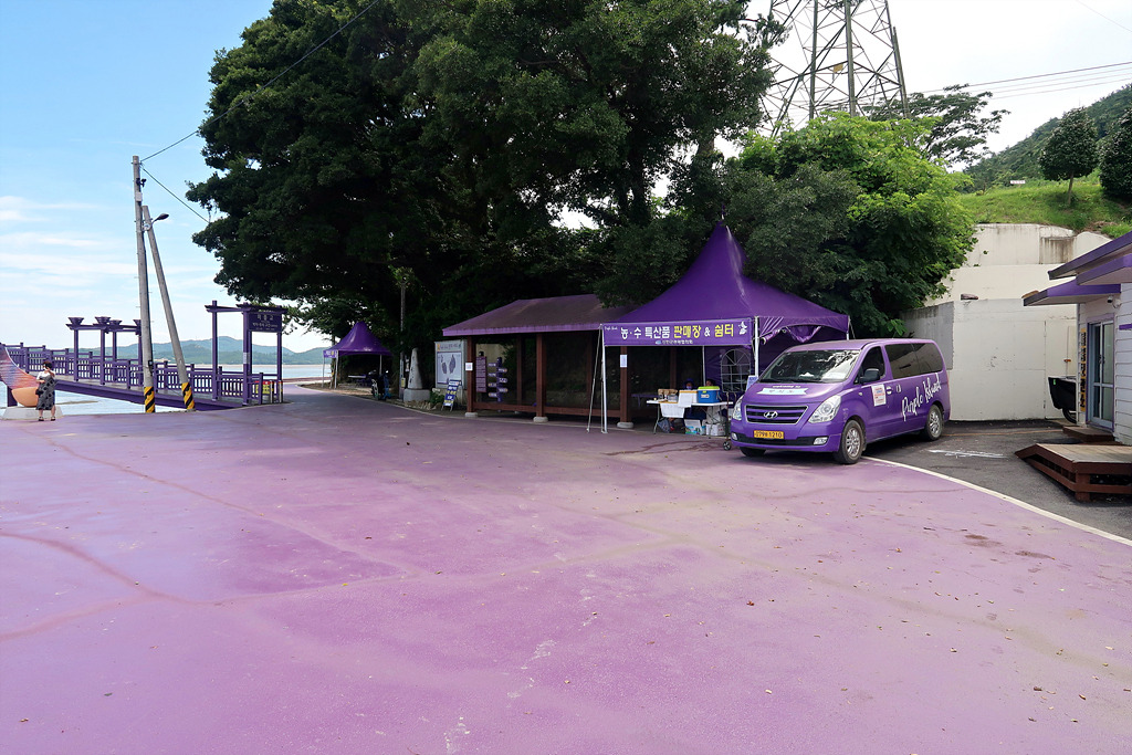 비금도 자전거 대여