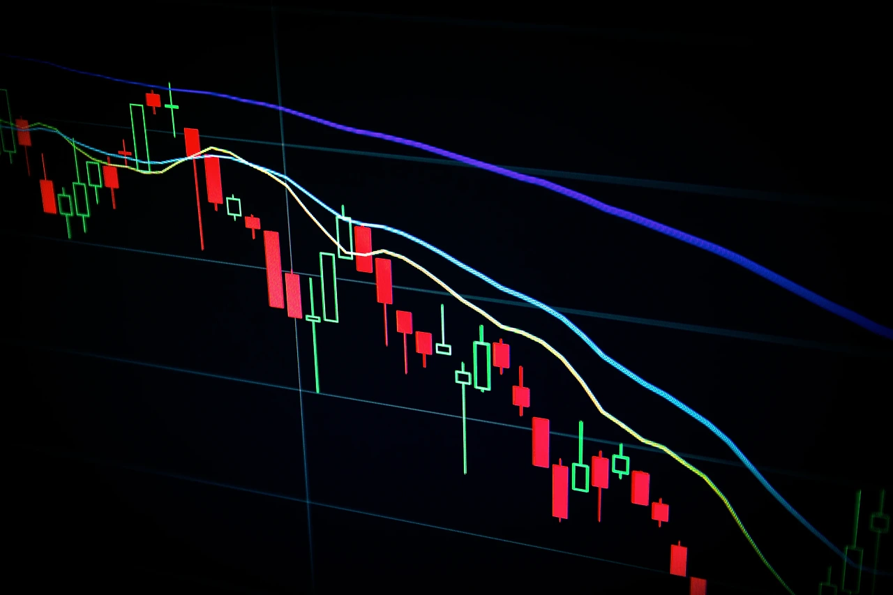 [간단정리] 주식 배당금 vs ETF 분배금