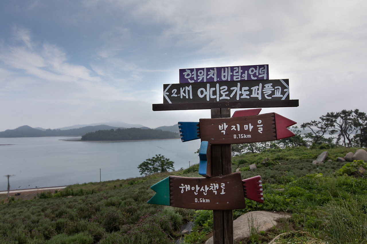 퍼플섬 박지도