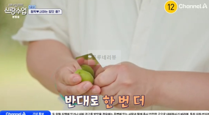 신랑수업 한국식 매실장아찌 레시피 - 정준하 청매실 황매실 4 ywAAAAAAQABAAACAUwAOw==