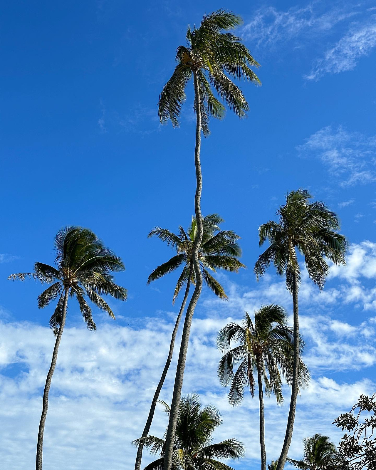 ?scode=mtistory2&fname=https%3A%2F%2Fblo