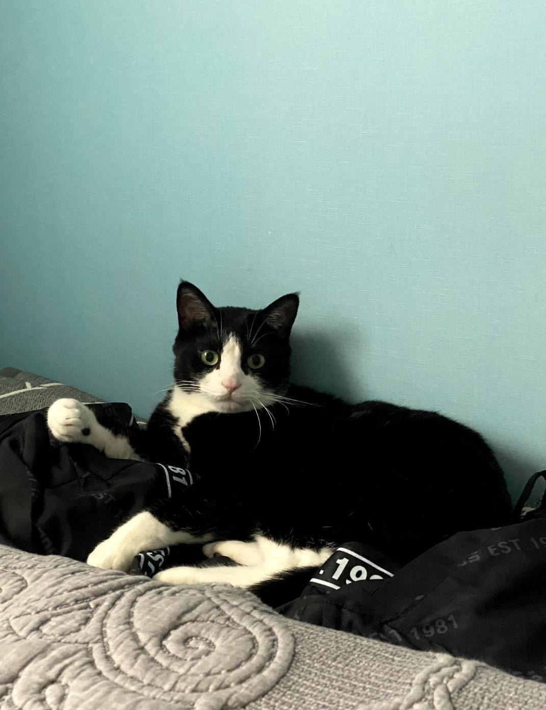 ?scode=mtistory2&fname=https%3A%2F%2Fblo