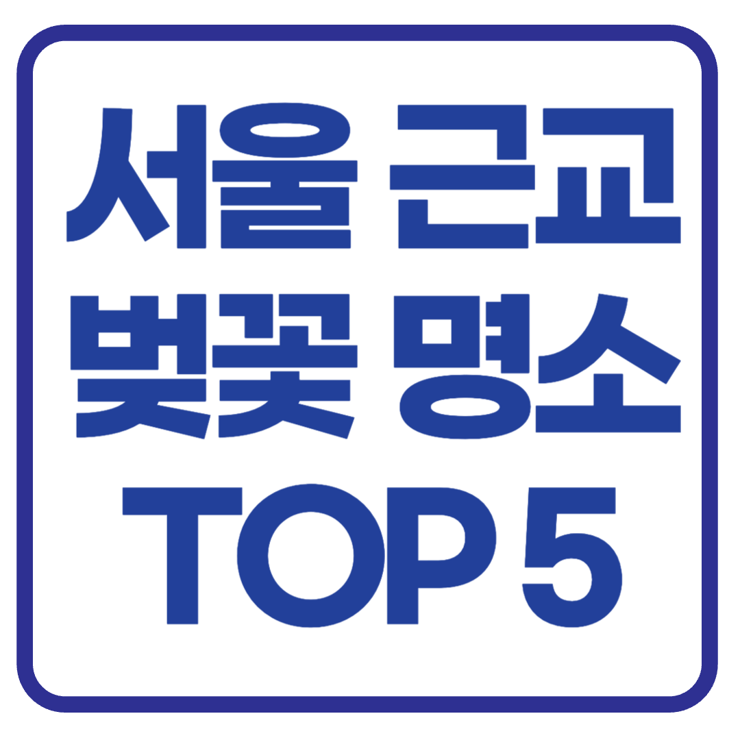 아로스 팝업