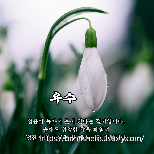 우수 절기 뜻 날짜 인사말 이미지