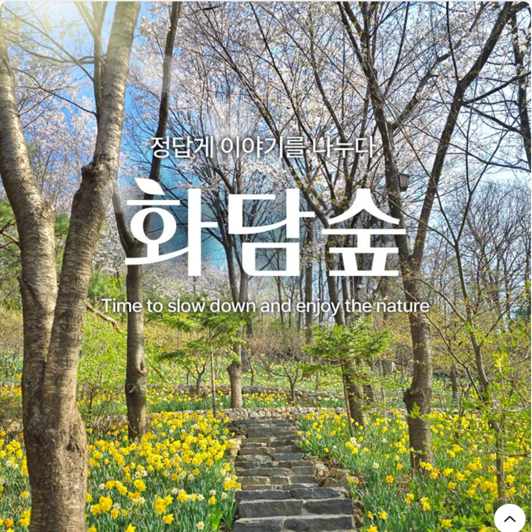 아로스 팝업