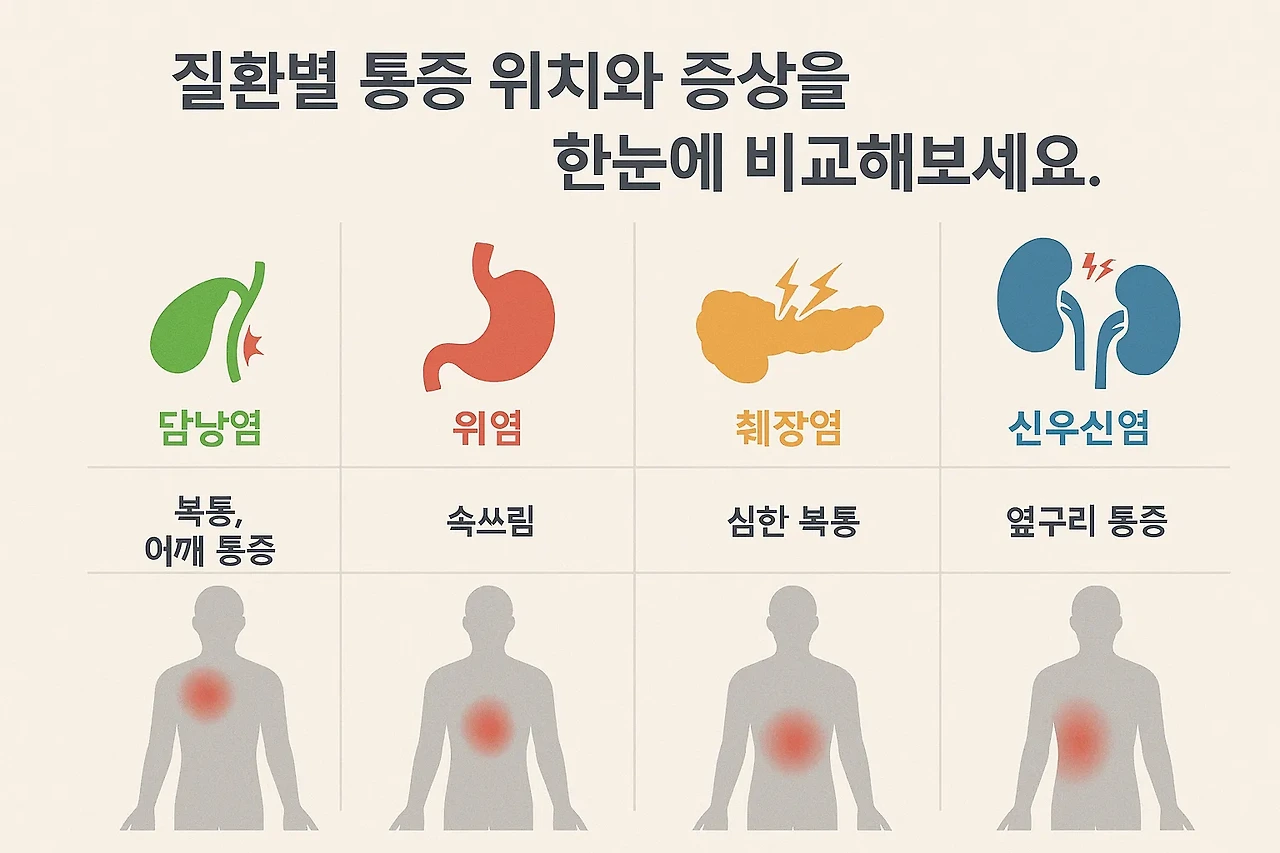 담낭염, 위염, 췌장염, 신우신염의 주요 증상과 통증 부위를 비교한 건강 인포그래픽