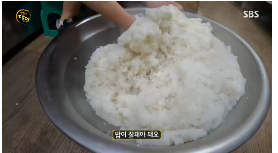 완벽한 김밥 달인 김밥집 어디? 생활의달인 은둔식달 서계순 동대문구 장안동 3 ywAAAAAAQABAAACAUwAOw==