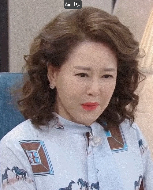 배우 차화연 나이 키 프로필 최신 드라마 영화 소속사 데뷔 본명