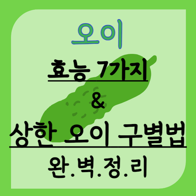 상한 오이 구별법과 오이의 효능, 오이 고르는 법 (오이 껍질 까만 점은?)