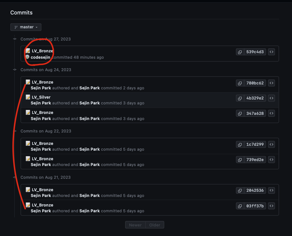 GitHub 잔디 안심어지는 오류 해결 방법 git filterbranch