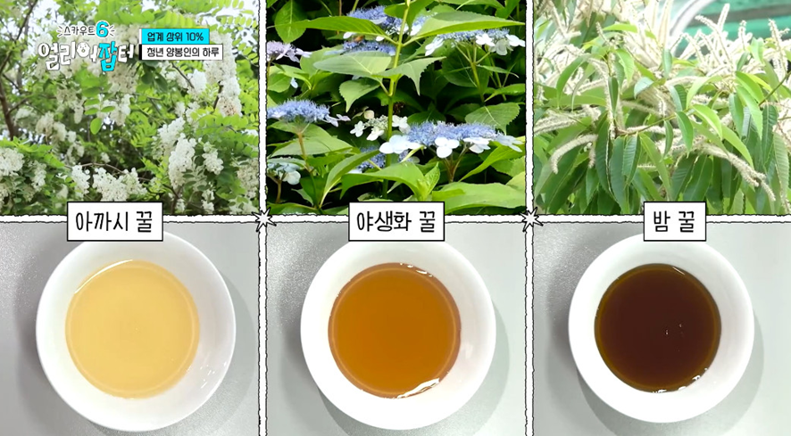 옛날이랑 다른 요즘 매출 4억 나온다는 농업.jpg | 인스티즈
