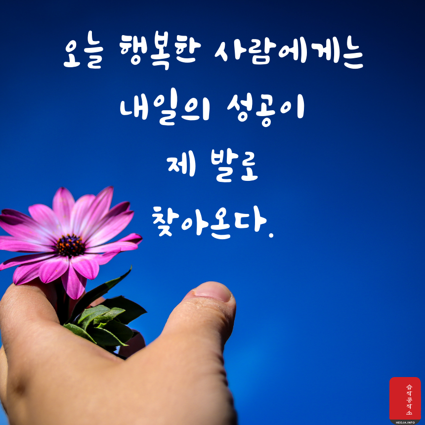 짧고 좋은 글귀 명언 모음 이미지 행복