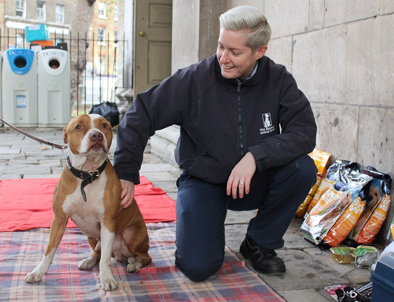  Animal Welfare Officer 