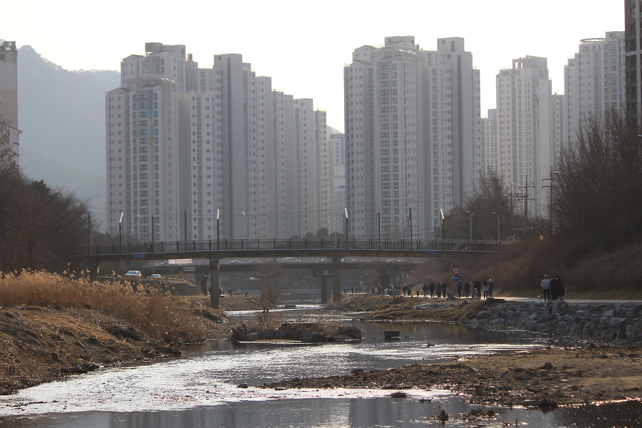[20230305]봄이 오는 길목에 안양 학의천 풍경