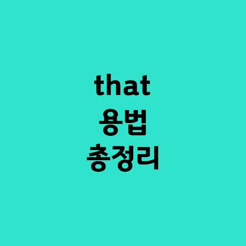 수능필수문법 that의 다양한 용법 1 that용법 총정리