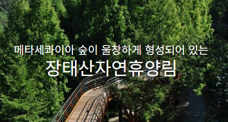 대전 장태산 자연휴양림 예약 6인실, 15인실 신청 사이트