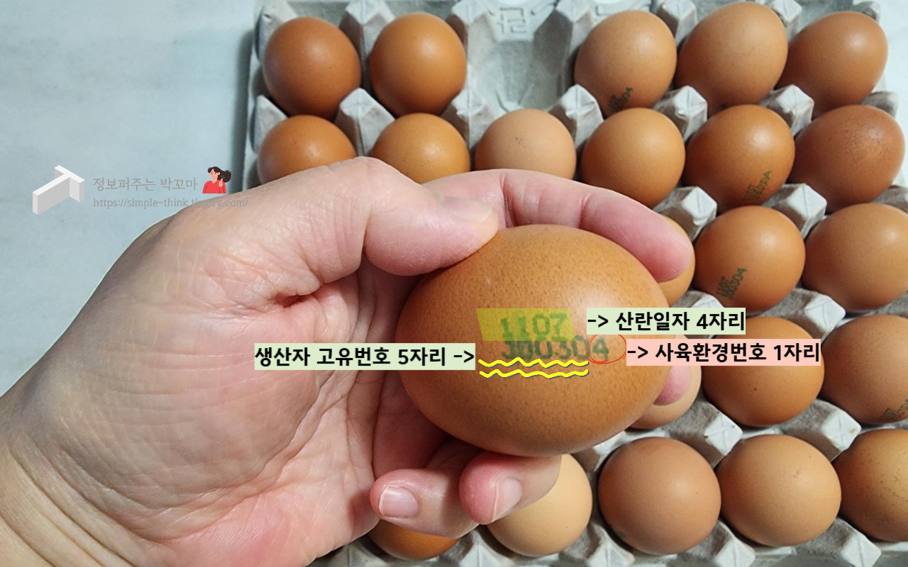 좋은 계란 고르는 방법과 올바른 계란 보관법 3 좋은 계란 고르는 방법-산란일자표시제