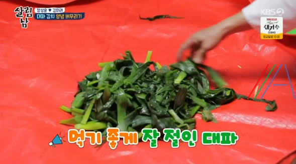 살림남 마약 김치 양념장, 총각무 김치 & 대파 김치 담그기 만들기 만드는 법 레시피, 정성윤 임성근 김장 김치 담그는법 만들기 레시피 - 2시간 김장김치 + 비법 양념장 18 ywAAAAAAQABAAACAUwAOw==