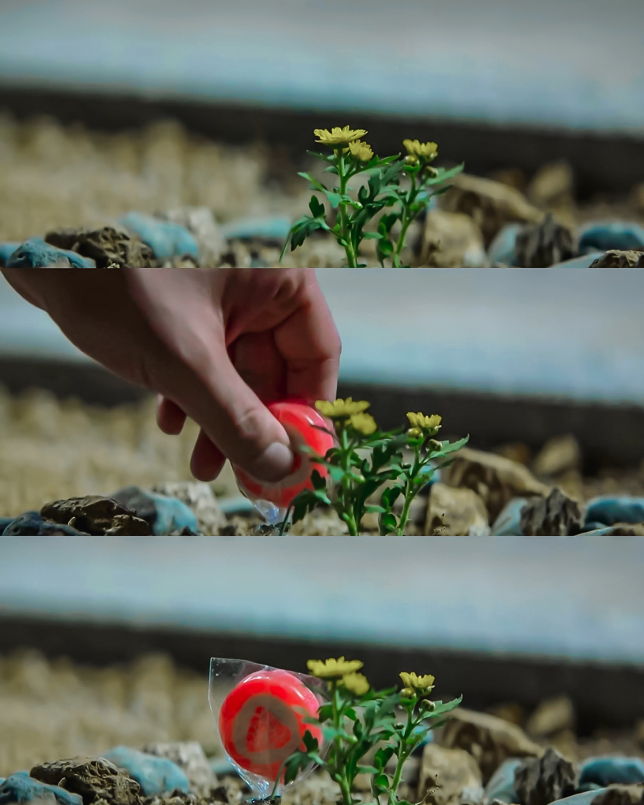 ?scode=mtistory2&fname=https%3A%2F%2Fblo