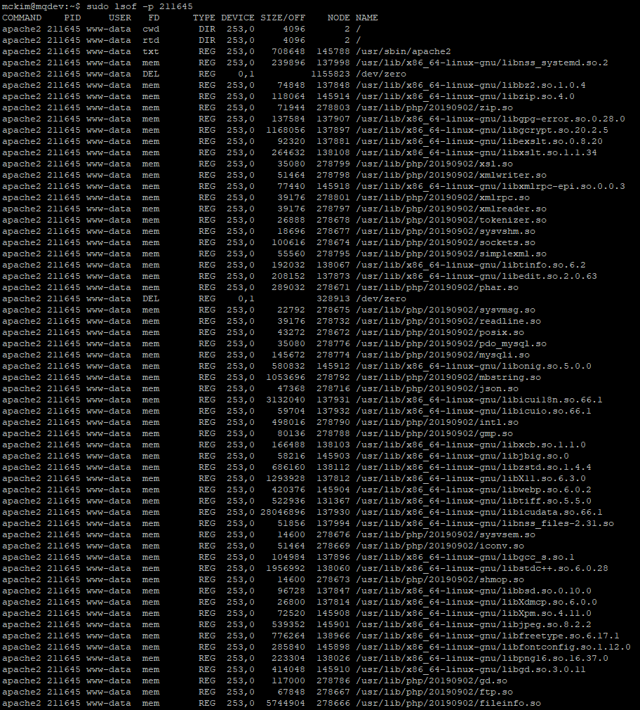 사용중인 프로세스의 fd(File Descriptor) 확인하는 방법