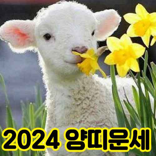 24년 양띠운세 91년 79년 67년 55년 43년 양띠 갑진년 운세