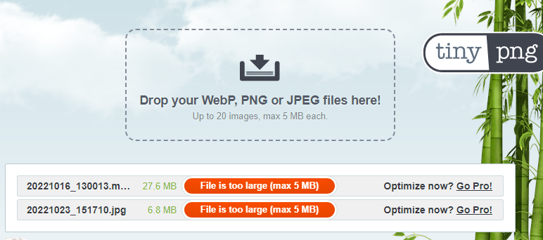 WebP JPG PNG 이미지 용량 줄이는 사이트 2 ywAAAAAAQABAAACAUwAOw==
