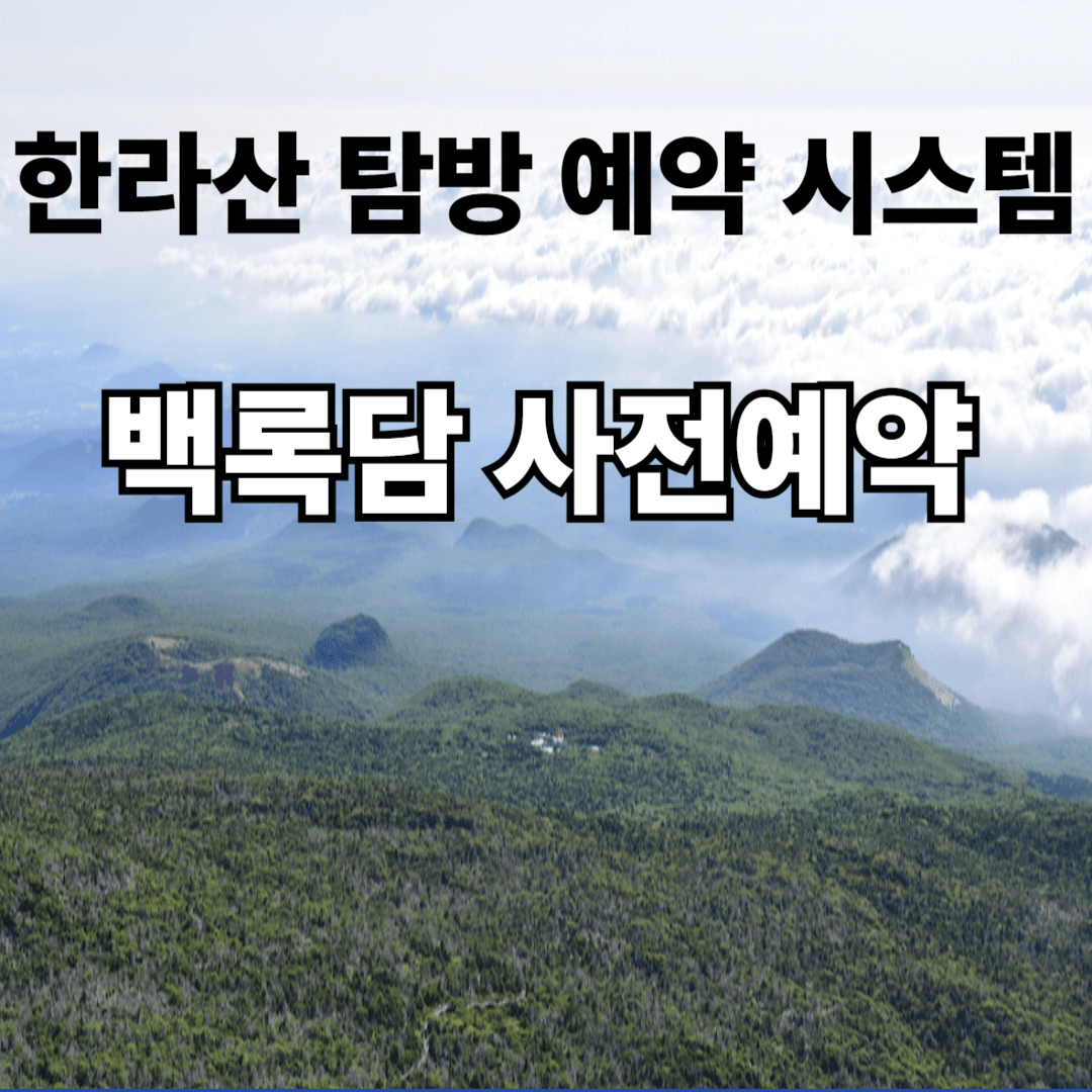 아로스 팝업