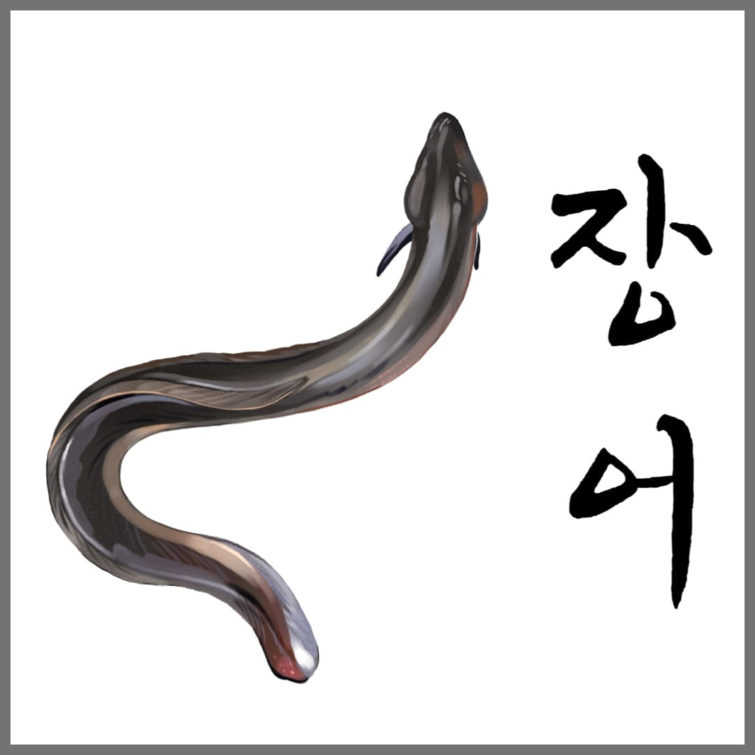 민물장어 포인트 공개3